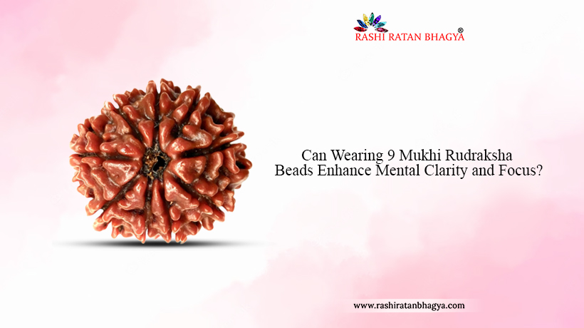 9 Mukhi Rudraksha