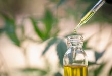 Are There Any Medical Differences Between CBD and THC?