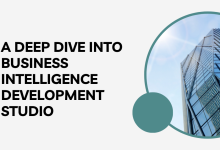A Deep Dive into Business Intelligence Development Studio