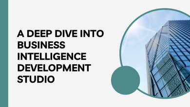 A Deep Dive into Business Intelligence Development Studio