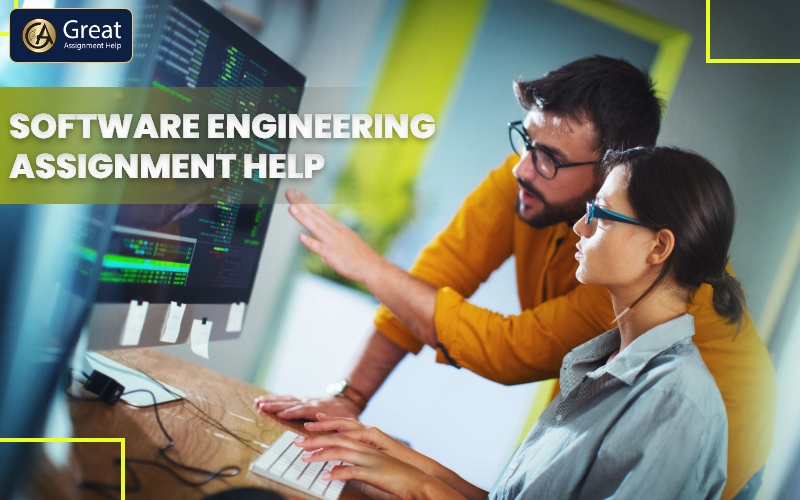 Discuss the Benefits of Learning Software Engineering In The USA