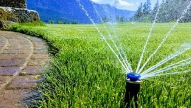 What are the Benefits of Sprinkler System Installation