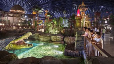 IMG Worlds Tickets: A Comprehensive Review and Why It's a Must-Visit Attraction in Dubai.
