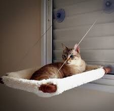 Hanging Cat Bed