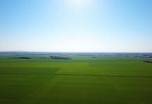 Industrial Land