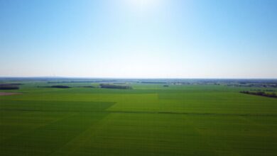 Industrial Land
